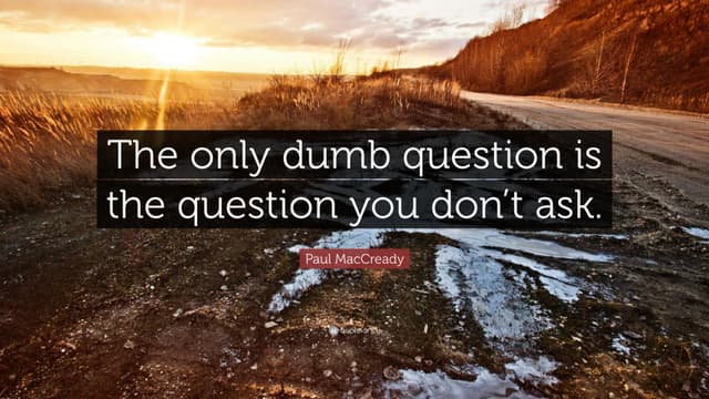 No "Stupid" Questions?